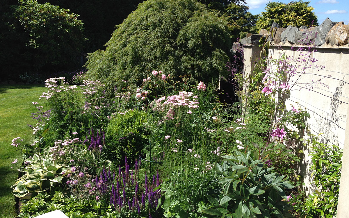 Traditional Garden Craigavad Holywood - Johnny Knox Garden Design ...